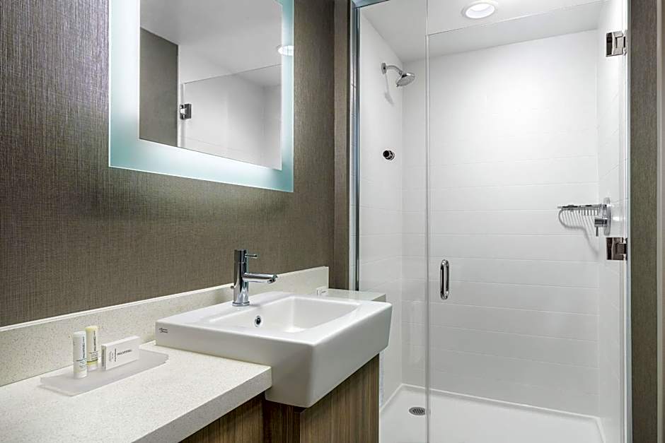 SpringHill Suites by Marriott Philadelphia West Chester/Exton