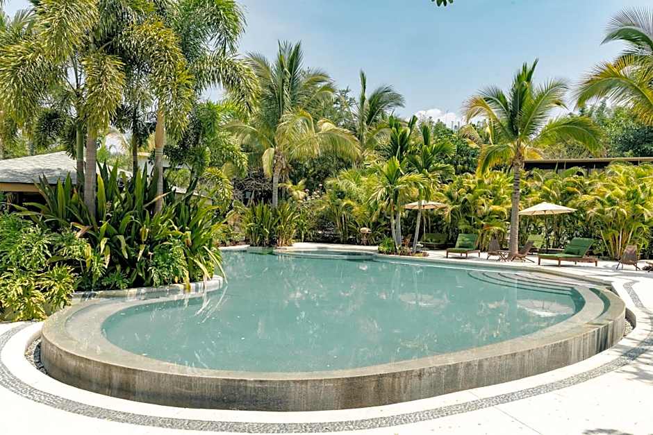 Soul Spring Sanctuary Cuernavaca