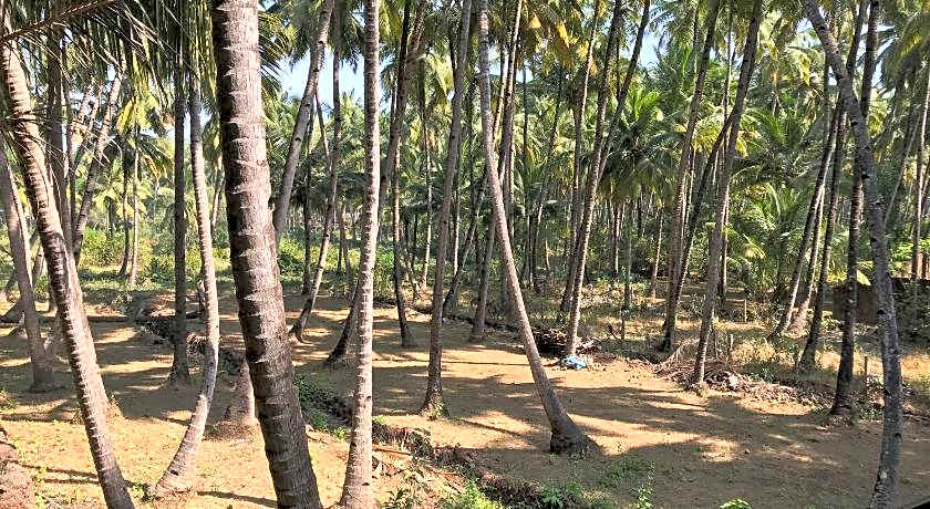 All Seasons Guest House Bogmalo