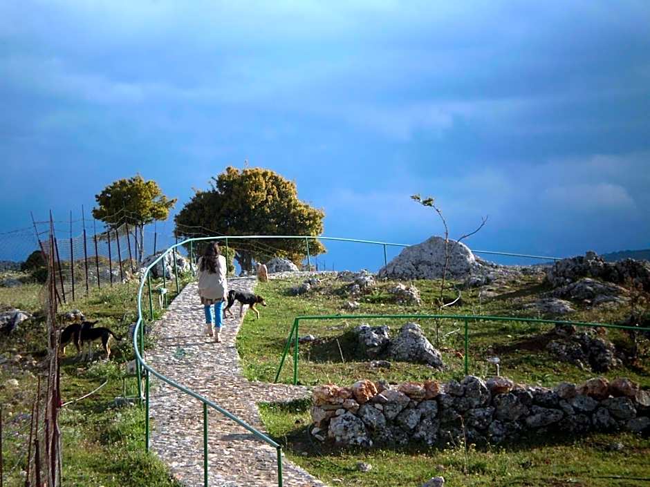 Arachovitika Kalivia