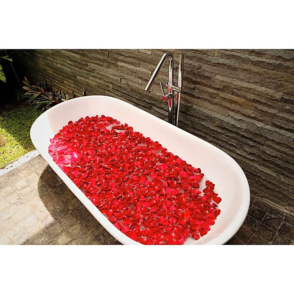 del Cielo Villa Jimbaran