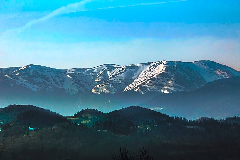 Nobillis - Carpathian Residence