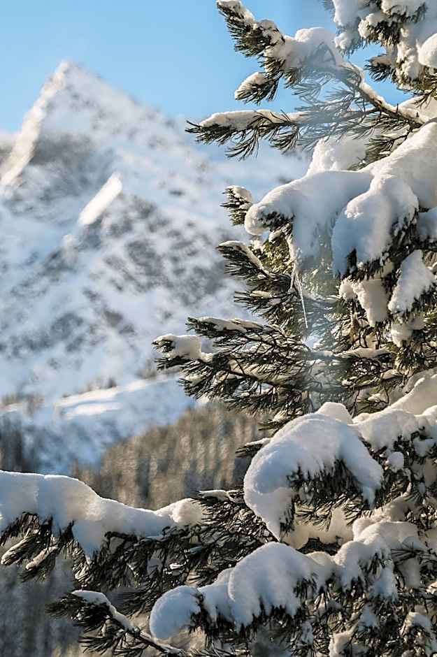 Heimspitze - Alpenhotel SKI-IN & Wirtshaus