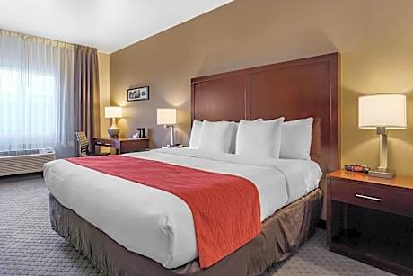 1 King Bed, Nonsmoking, Upgrade