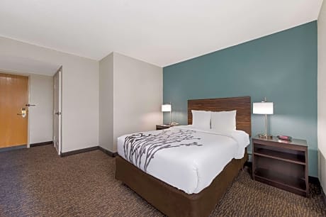 1 Double Bed, Nonsmoking, Accessible