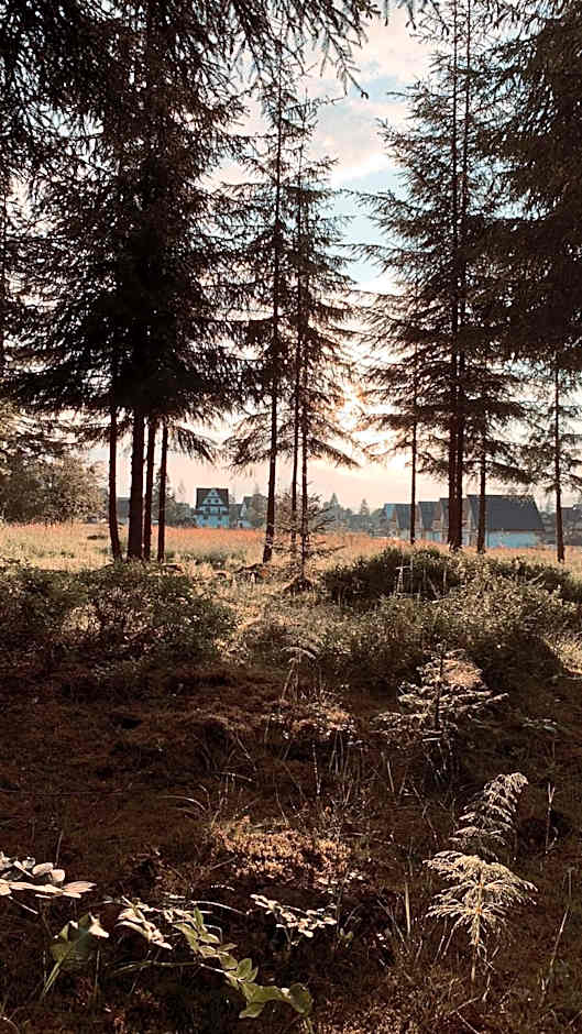 Framptons Apartments Garden & Spa - Dla dorosłych i dzieci 12 plus - Adults and children 12 plus