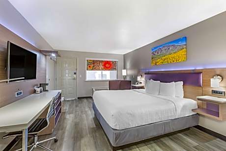 King Room with Roll-In Shower - Disability Access