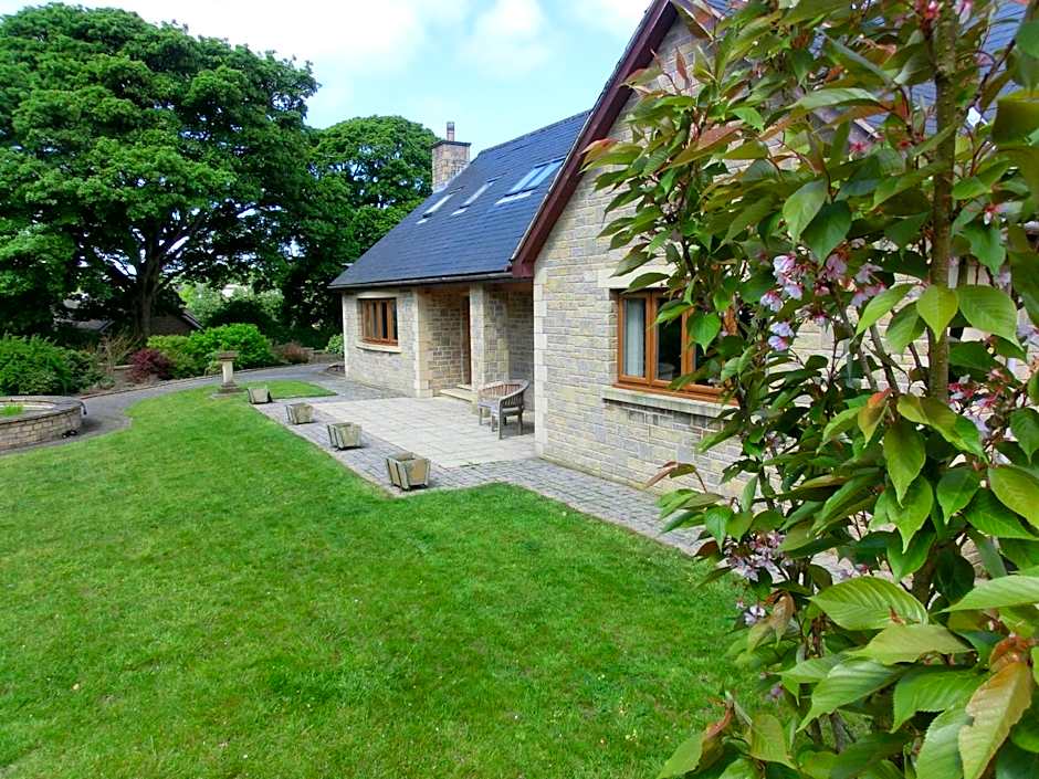 The Hollies on the Wall