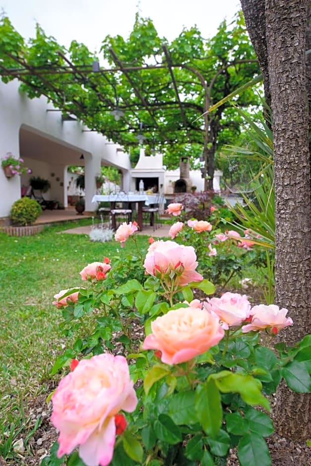 B&B Li Fringi – Torchiara, UT