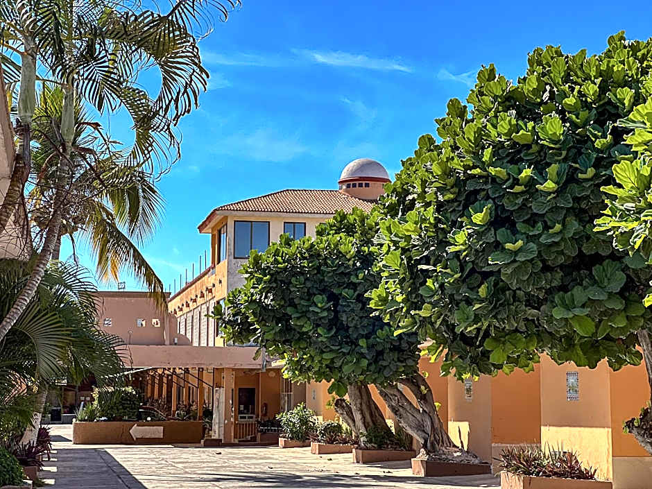 Hotel Oasis