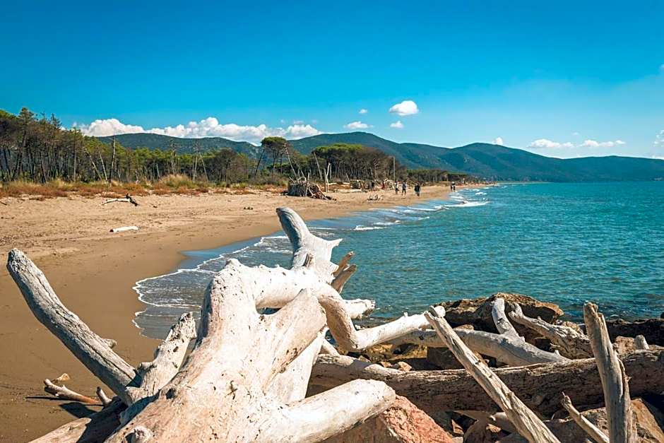 Poggiolivi Agriturismo Bio in Maremma