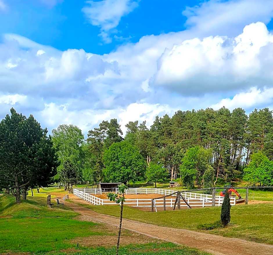 Kur-& Landhotel Borstel - Treff