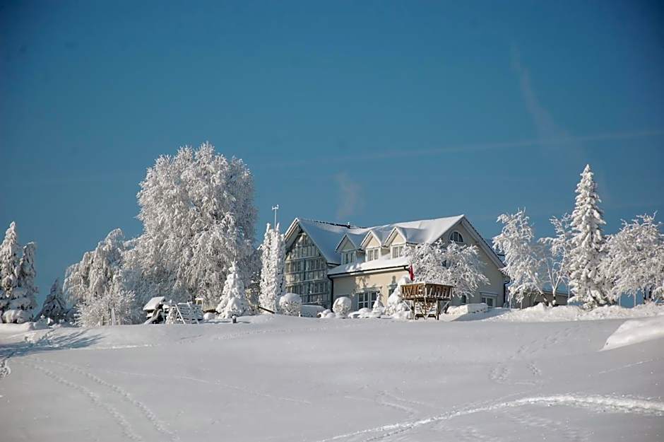 Hotel und Restaurant Wolfensberg