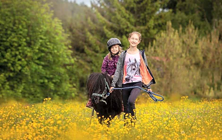 Landpension Pferdekoppel - B&B - Self Checkin