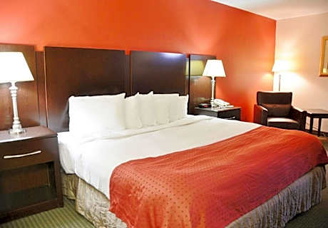1 King Bed Deluxe Non-Smoking