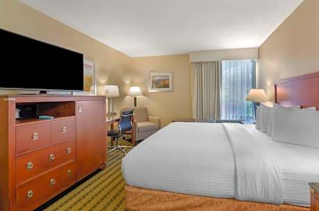 King Room with Mobility Accessible Tub
