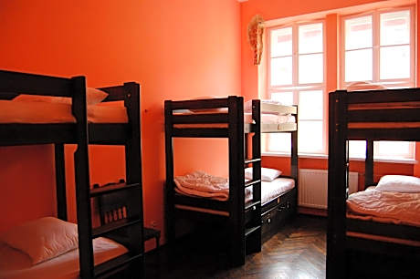 Bed in 6-Bed Mixed Dormitory Room