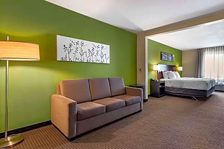 1 King Bed Suite Nonsmoking