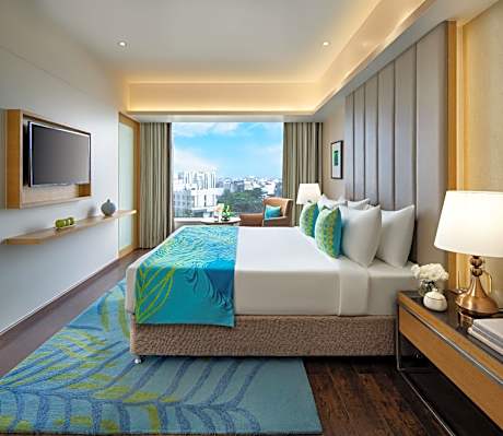 Premium Suite
