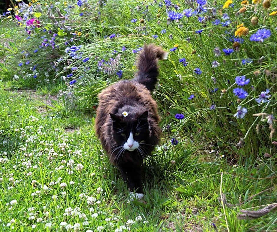 Little Creek - Lodges in het natuurgebied