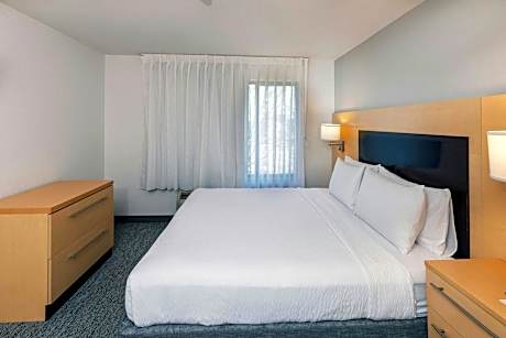 Suite, 1 Bedroom (1 King Bed and 1 Double Sofa Bed)