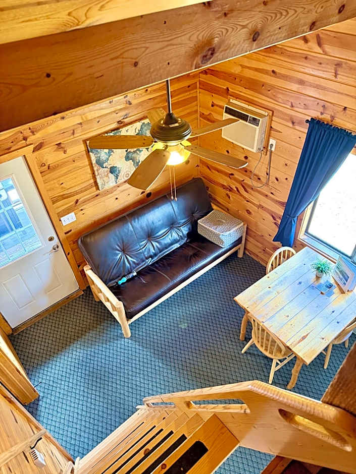 Mountain View Lodge & Cabins