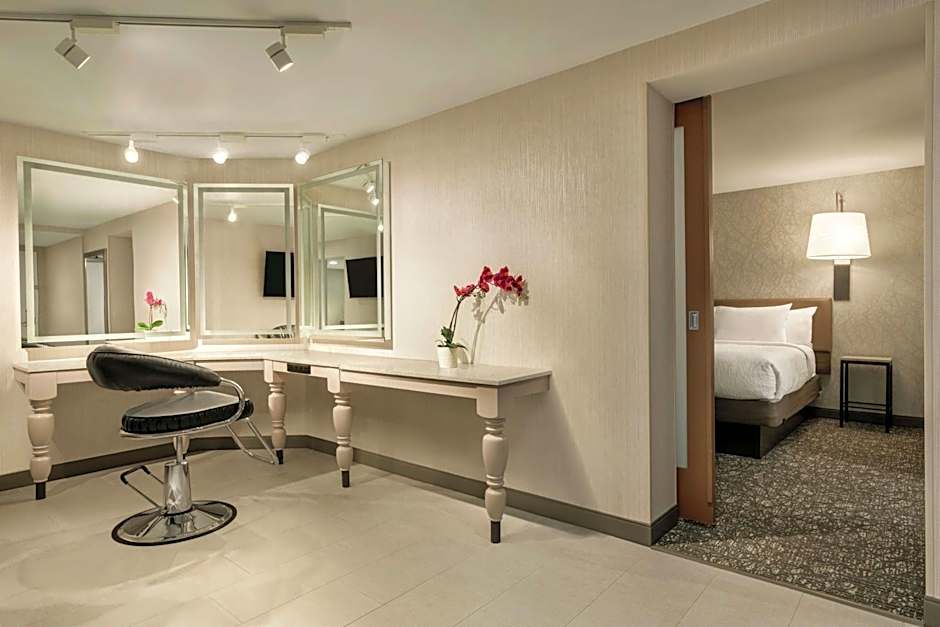 Hilton Garden Inn Springfield