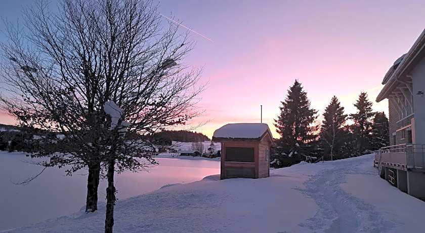 Au Coeur du Lapidaire