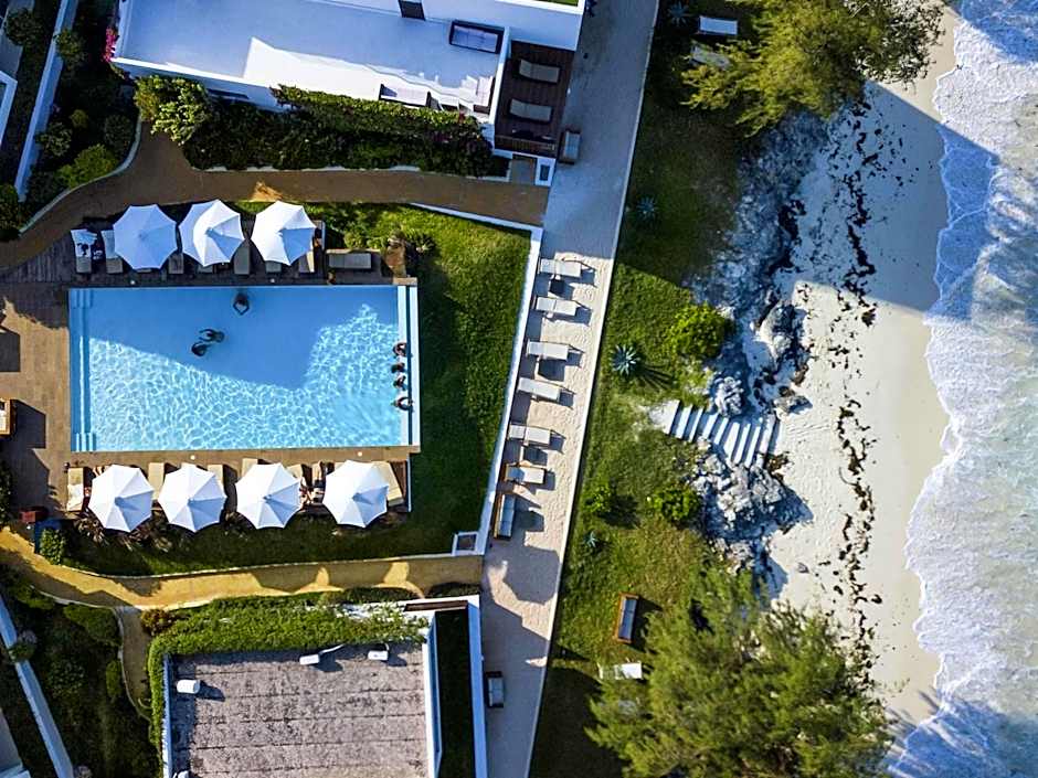 Nungwi Dreams by Mantis