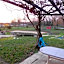 Calme au Canal de Centre