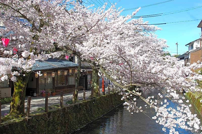 Kinosaki Yumekoyado Tenbouen