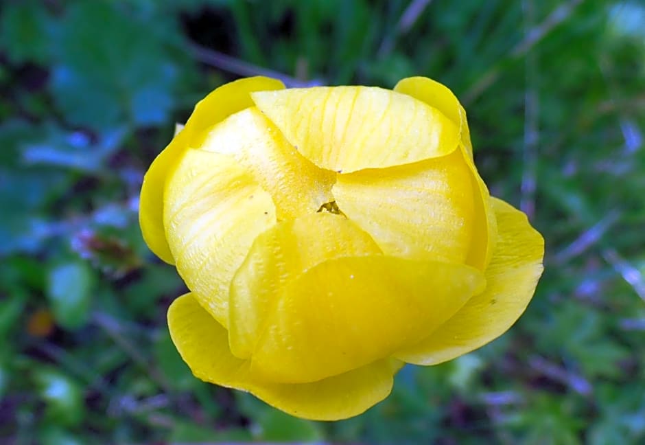 Le Temps d'une Pause