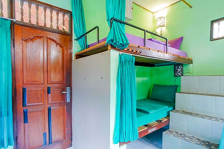 Padi-Padi Hostel & Bar