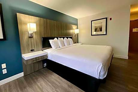 1 King Bed Non-Smoking