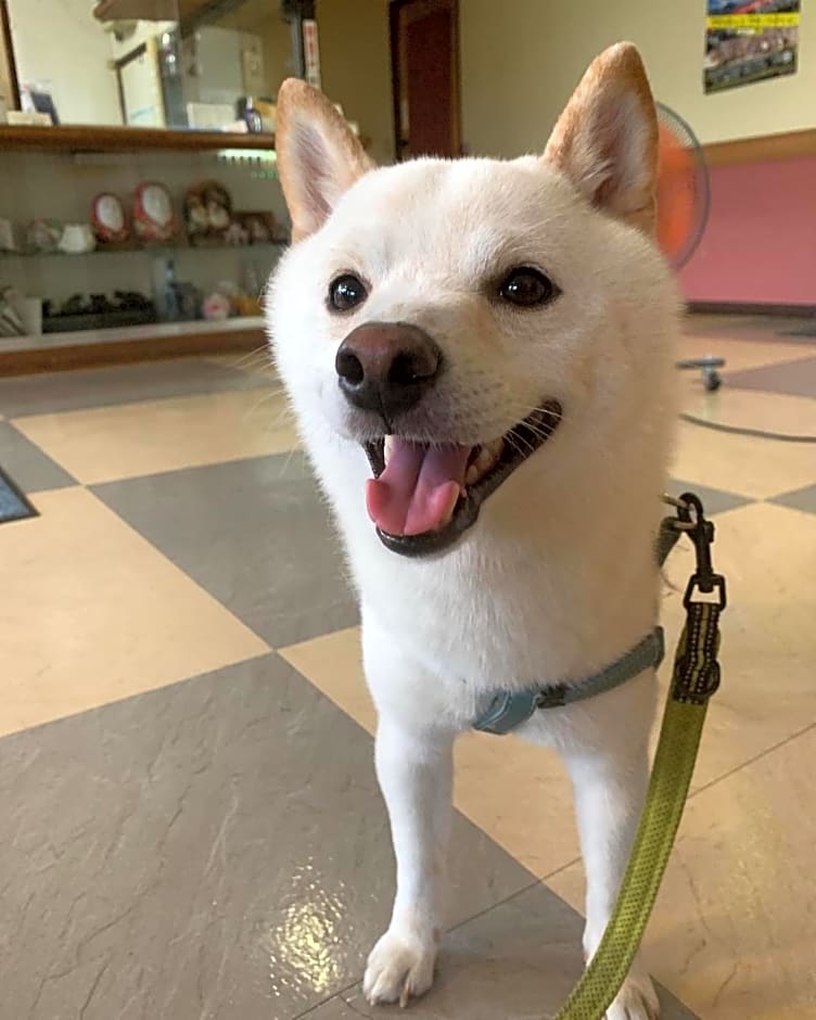 民宿ニュー万福茶屋