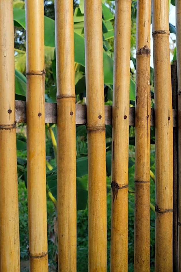 Suku Lifestyle Hotel & Villas