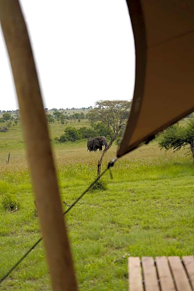 Anantya Serengeti