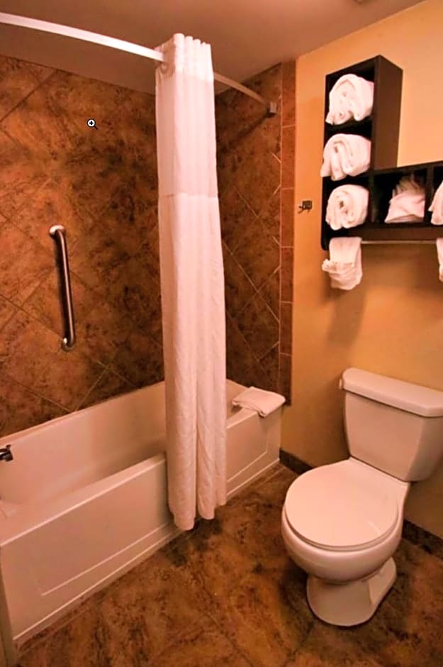 Hampton Inn By Hilton & Suites Jacksonville Beach Boulevard/Mayo Clinic