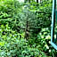 Garden Shed R