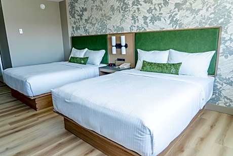 Queen Room with Two Queen Beds