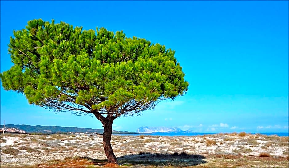 Appartamenti Le Magnolie