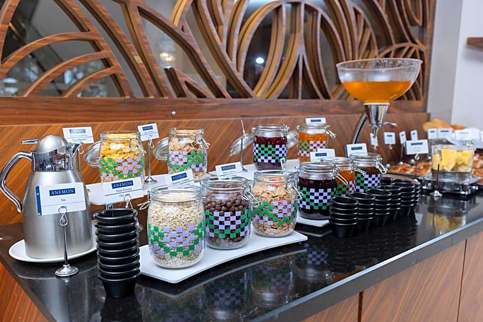 Anemon Bursa Otel