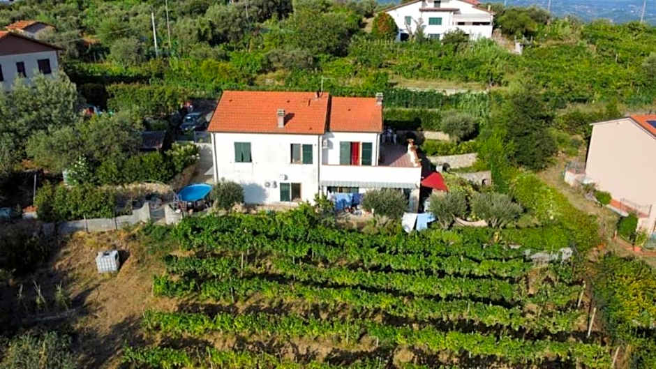 In Vino Veritas B&B