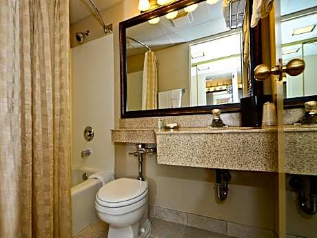 One-Bedroom King Suite with Sofa Bed