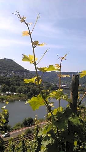Weinhotel Hubertus Garni