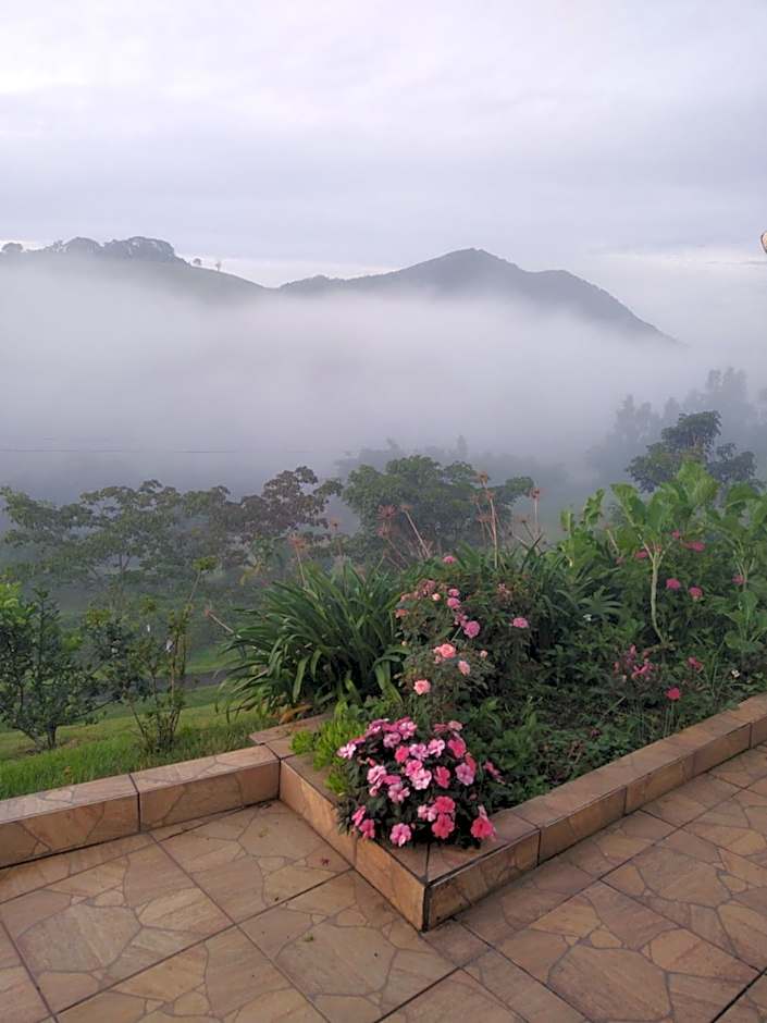 Recanto das Videiras