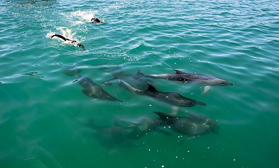 Treghan Luxury Lodge