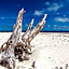 Wilson Island
