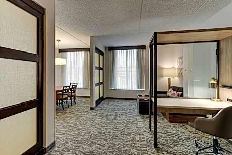 1 Bedroom Junior Suite, 1 King, Sofa bed