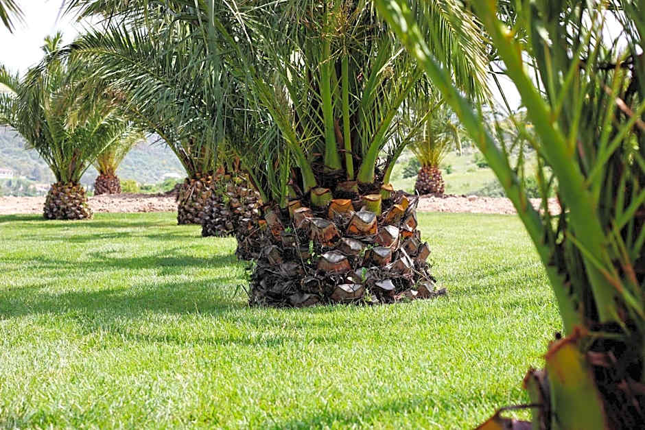 Residence Hotel Monte Ricciu